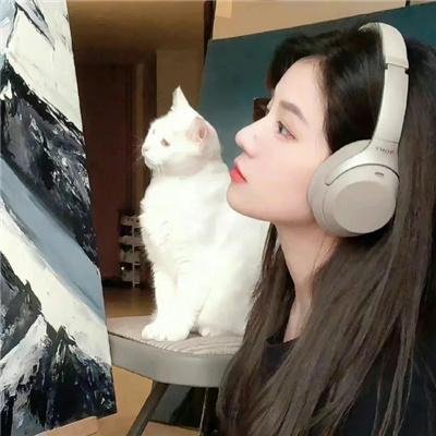 内部敌人
